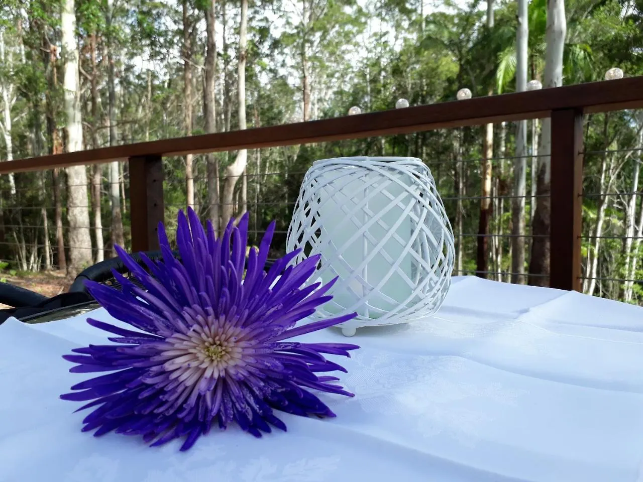 Stay @ The Cube Montville Austrália